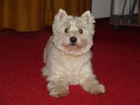 Klik op de foto voor groter formaat